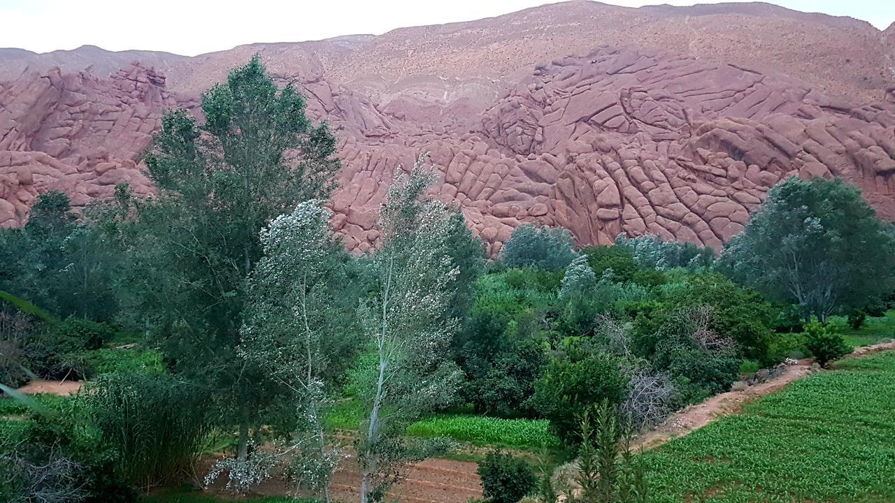 Auberge Kasbah Ait Marghad Tamellalt  Exteriör bild