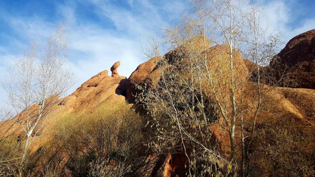 Auberge Kasbah Ait Marghad Tamellalt  Exteriör bild