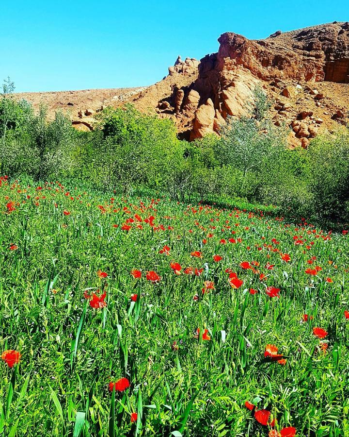 Auberge Kasbah Ait Marghad Tamellalt  Exteriör bild